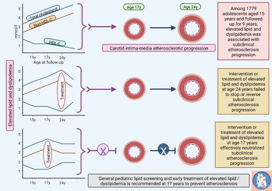 Atherosclerosis may be stopped if lipid screening and dyslipidemia intervention begin in adolescence